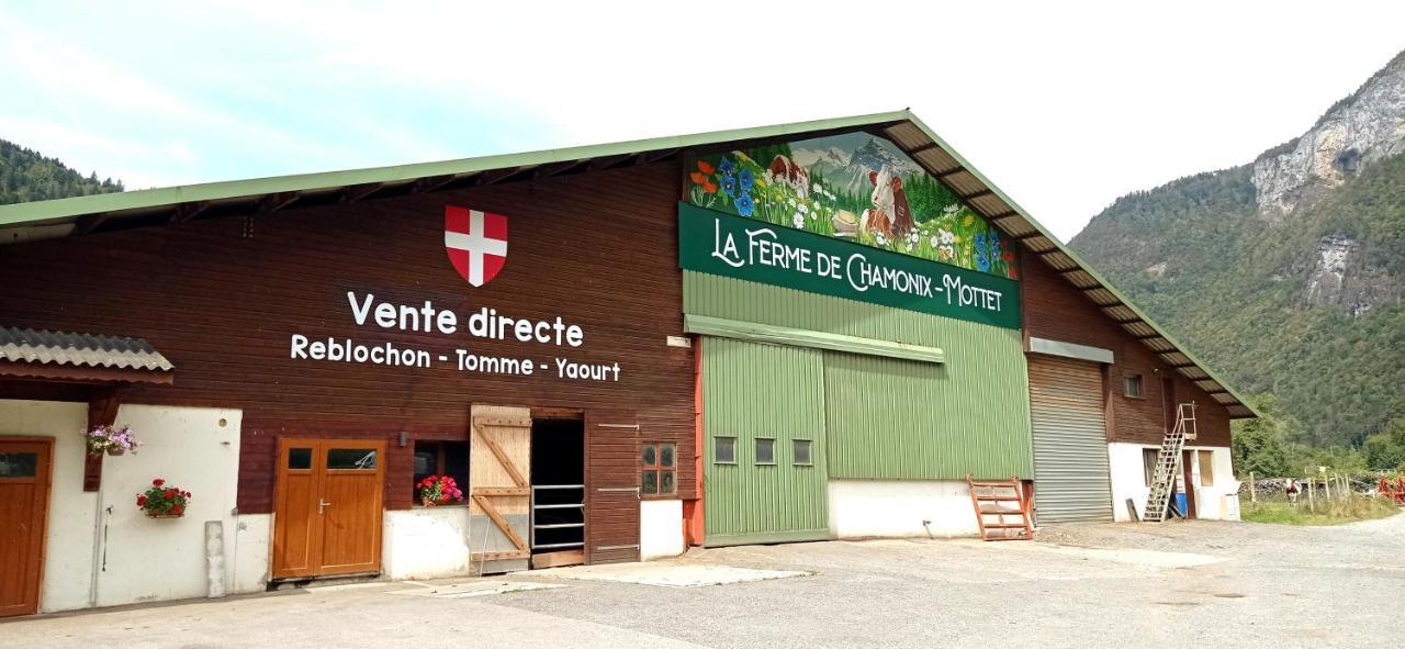 *Spacieux T3 Campagne Proche Lac* マグラン エクステリア 写真